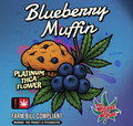 Premium Hemp Flower - Blueberry Muffin