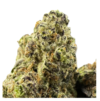 Premium Hemp Flower-Orange Push Pop