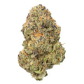 Purple Punch (31.610%) THCa Flower