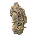 Tropical Runtz (29.744%) THCa Flower