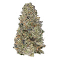 Truffle Cake (29.362%) THCa Flower